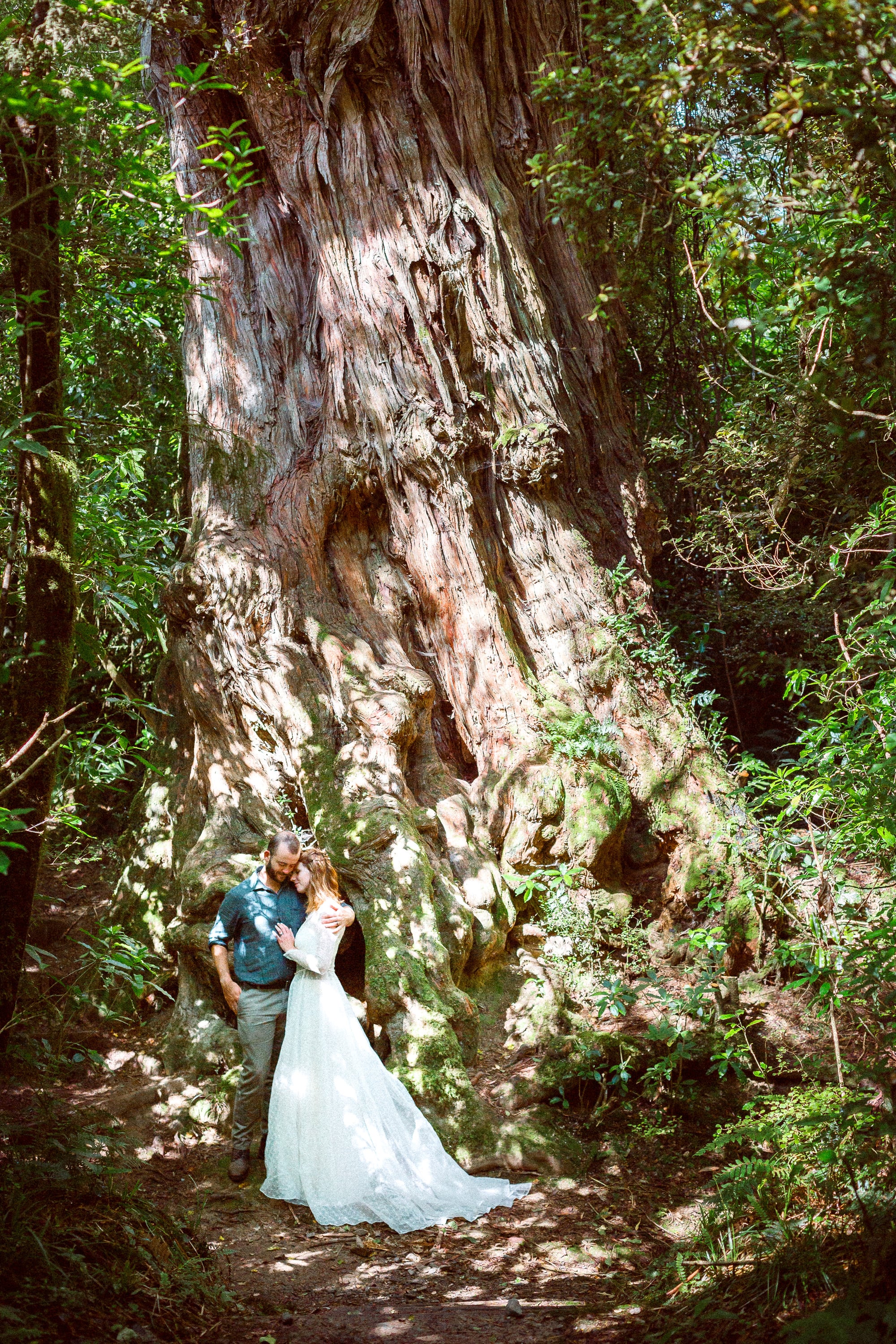 Couple dwarfed by an ancient tree trunk.