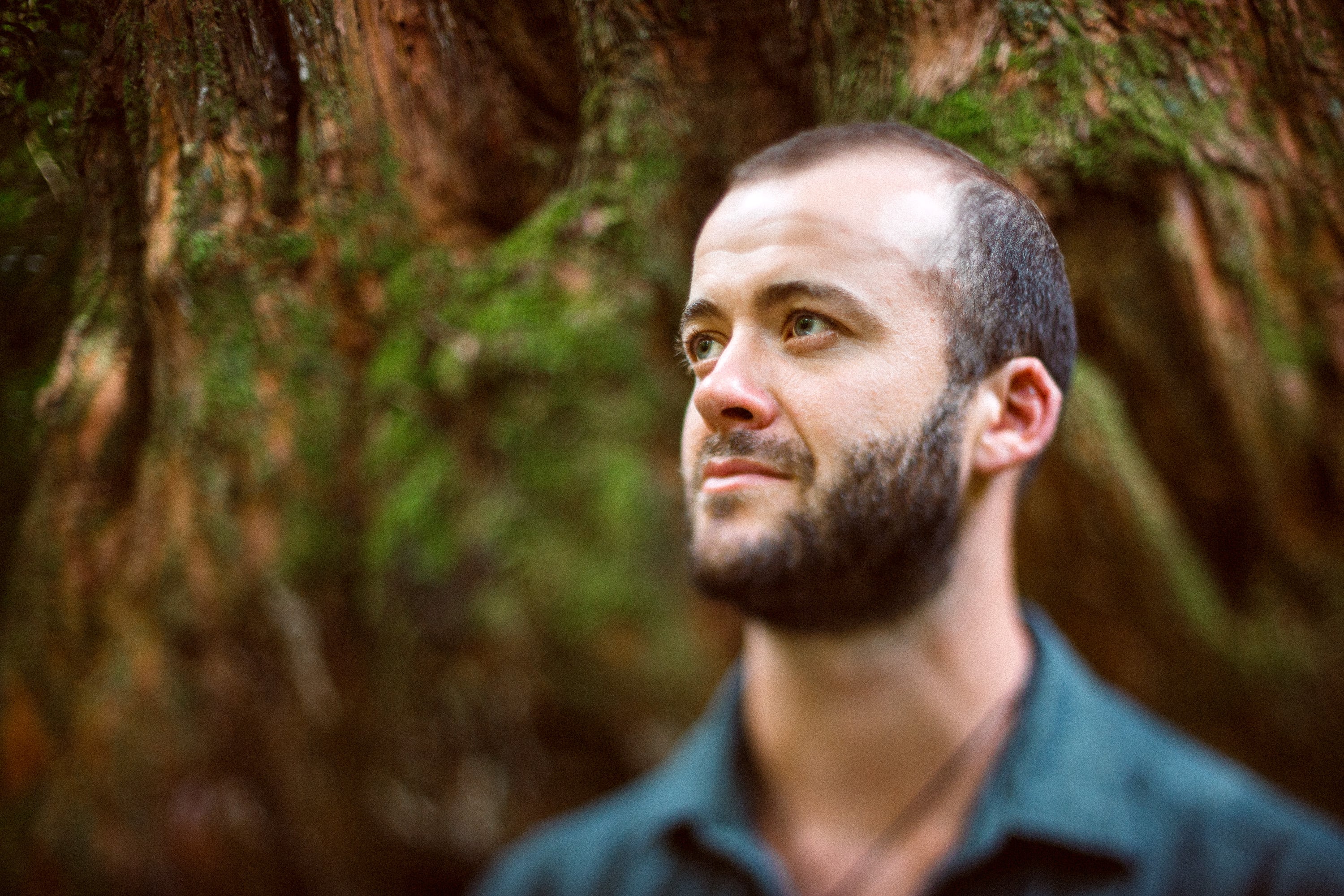 Man looking into the distance, native bush behind.