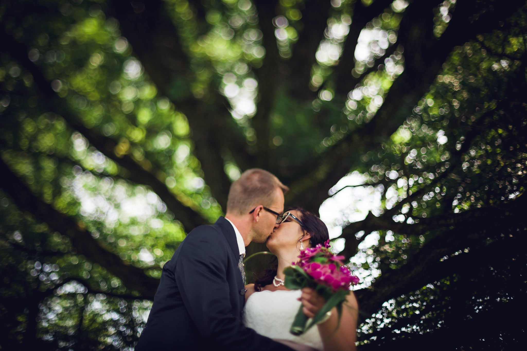 Couple kissing beneath the branches of a large tree.